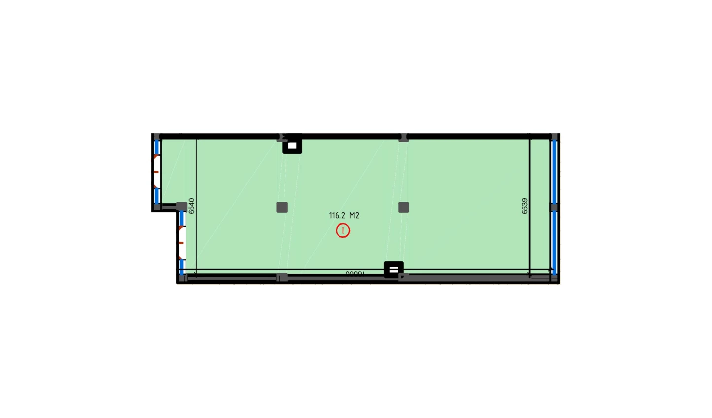 1-комнатная квартира 116.2 м²  1/1 этаж