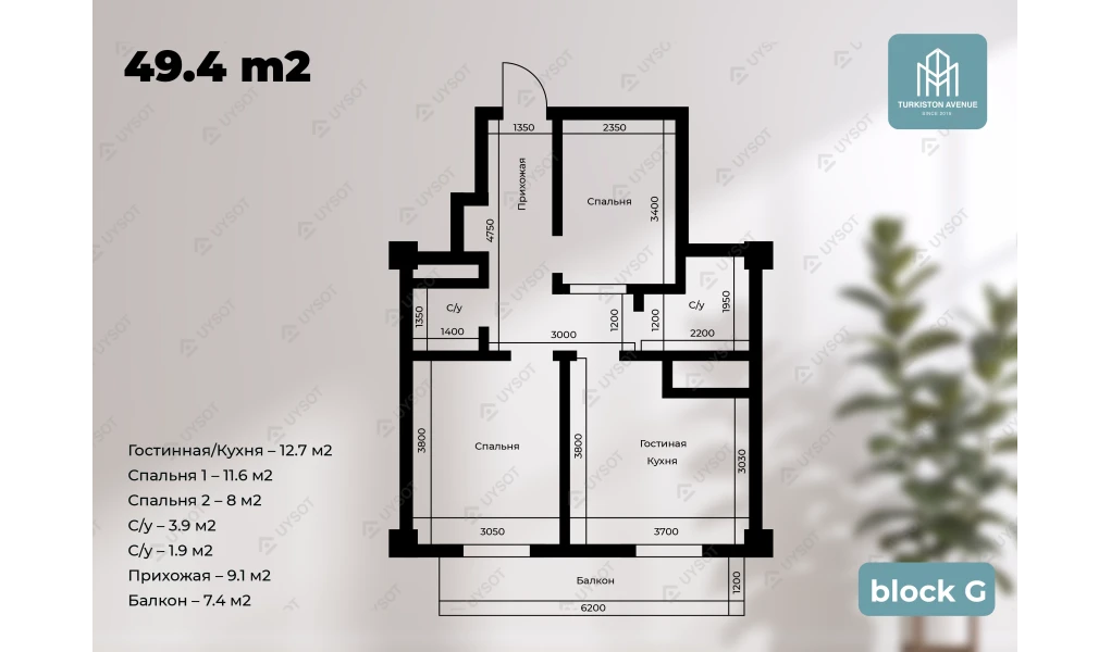 2-комнатная квартира 49.4 м²  1-16/1-16 этаж