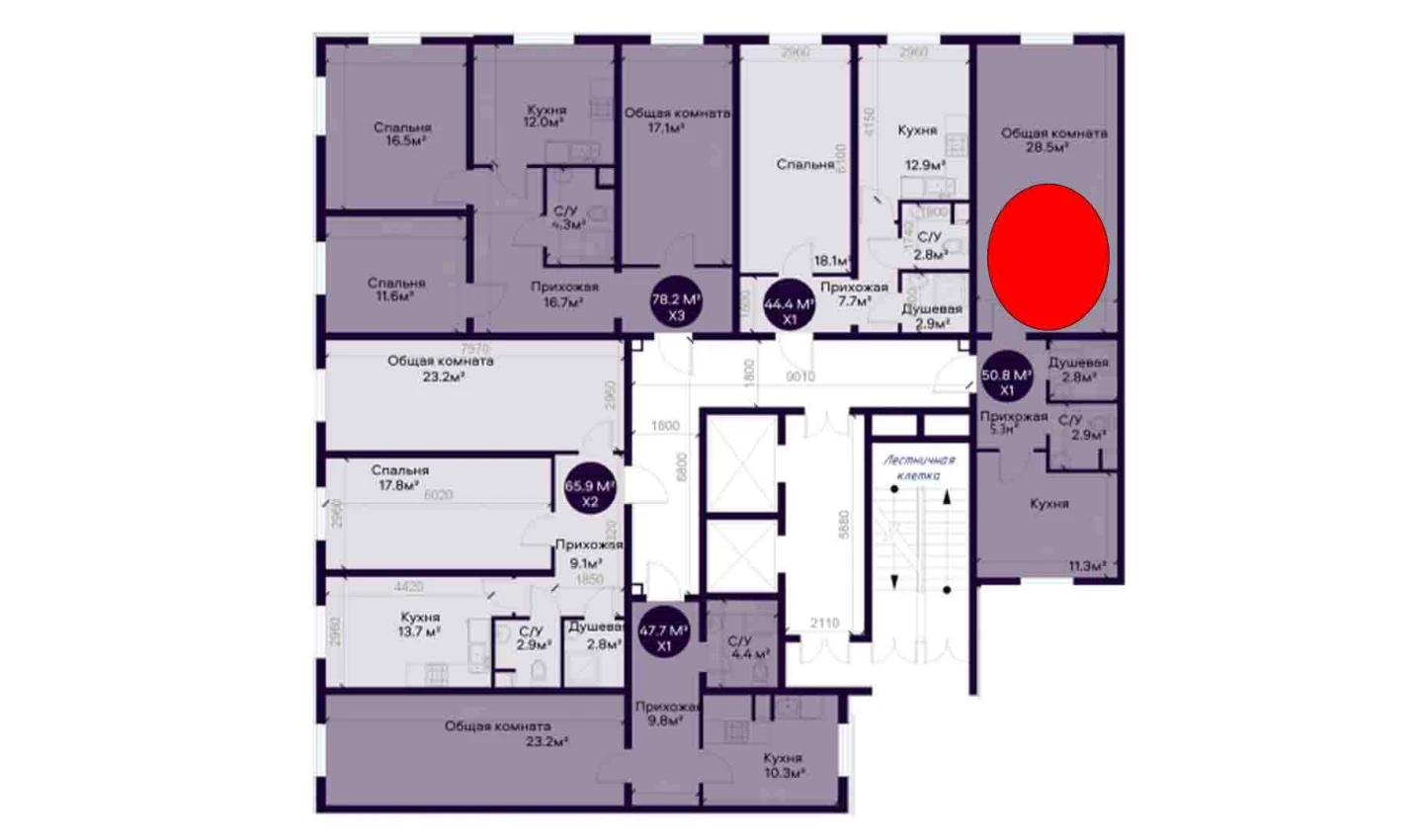 1-комнатная квартира 50.8 м²  1/1 этаж