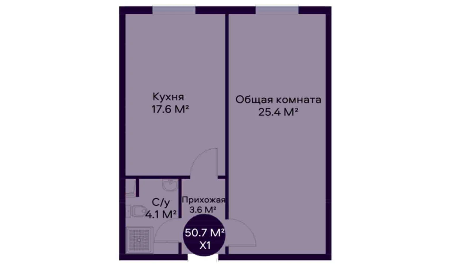 1-комнатная квартира 50.7 м²  1/1 этаж