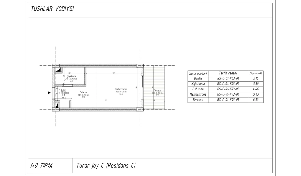 1-xonali xonadon 25.24 m²  1/1 qavat