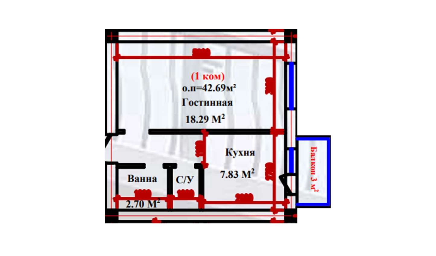 1-xonali xonadon 42.69 m²  1/1 qavat