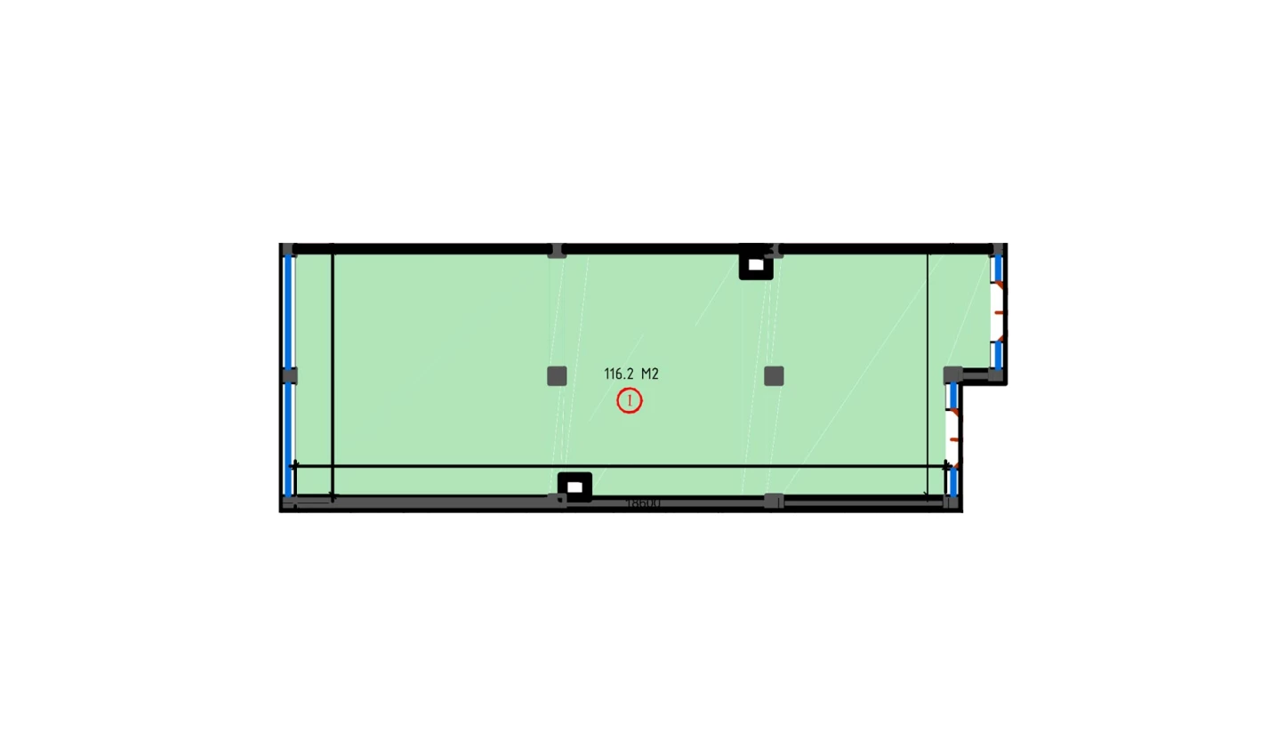 1-комнатная квартира 116.2 м²  1/1 этаж