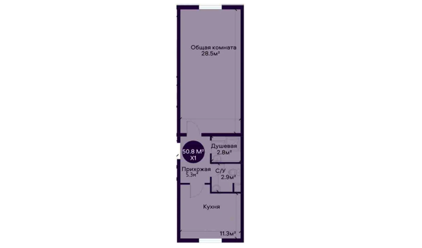 1-комнатная квартира 50.8 м²  1/1 этаж